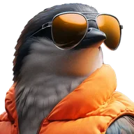 Atticus, the Mockingbird mascot, in aviator sunglasses and an orange vest